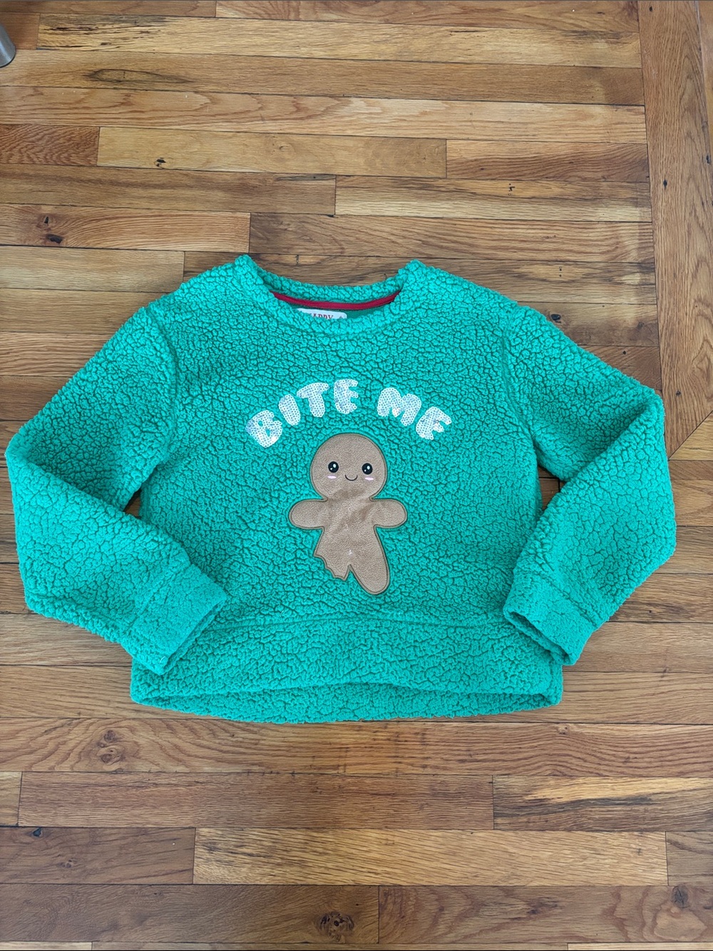 Urban Heritage Teal Plush 'Bite Me' Gingerbread Pullover